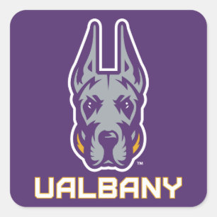 Universität Albany Great Danes Quadratischer Aufkleber