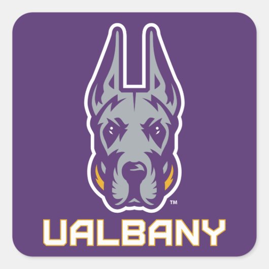 Universität Albany Great Danes Quadratischer Aufkleber (Vorderseite)