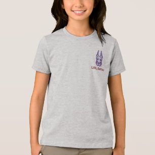 Universität Albany Great Danes Tri-Blend Shirt