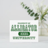 Universität Alligator Postkarte (Stehend Vorderseite)