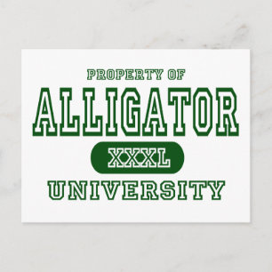 Universität Alligator Postkarte