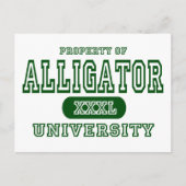 Universität Alligator Postkarte (Vorderseite)