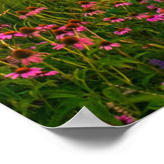 Universität Pittsburgh Kathedrale of Learning Can Poster (Ecke)