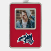 Universität Stony Brook | Seawolfen Rahmen-Ornament Silber (Vorderseite)