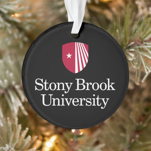 Universität Stony Brook | Wortmarke Ornament (Baum)