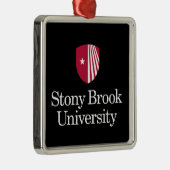 Universität Stony Brook | Wortmarke Ornament Aus Metall (Rechts)