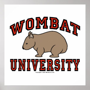 Universität Wombat Poster