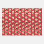 University Abschluss Jacksonville Staat Geschenkpapier Set (Vorderseite)