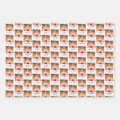 University Abschluss Jacksonville Staat Geschenkpapier Set (Vorderseite 2)