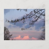 University City Goodwill Postkarte (Vorderseite)