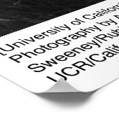 University of California by Ansel Adams Poster (Ecke)