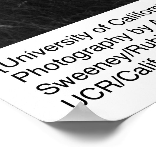 University of California by Ansel Adams Poster (Ecke)