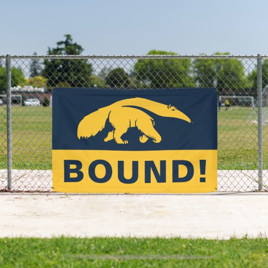 University of California, Irvine Anteater Banner (InSitu)