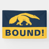 University of California, Irvine Anteater Banner (Horizontal)