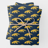 University of California, Irvine Anteater Geschenkpapier Set (Beispiel)