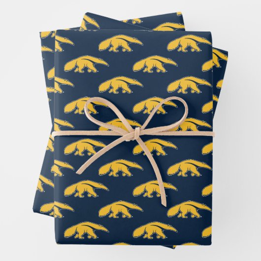 University of California, Irvine Anteater Geschenkpapier Set (Beispiel)