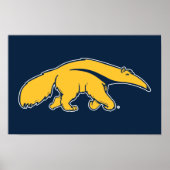 University of California, Irvine Anteater Poster (Vorne)