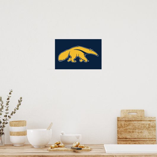 University of California, Irvine Anteater Poster (Küche)