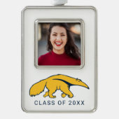 University of California, Irvine Anteater Rahmen-Ornament Silber (Vorderseite)