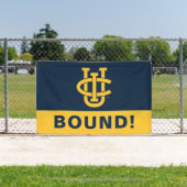 University of California, Irvine Logo Banner (InSitu)