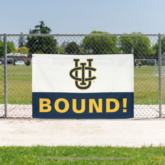 University of California, Irvine Logo Banner (InSitu)