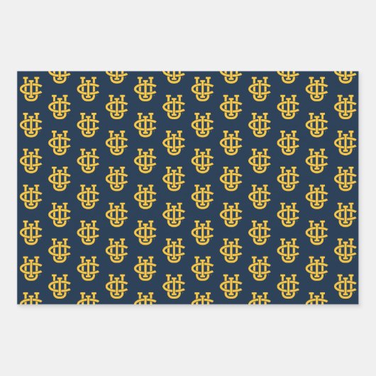 University of California, Irvine Logo Geschenkpapier Set (Vorderseite 3)