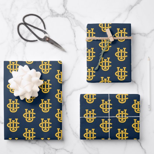 University of California, Irvine Logo Geschenkpapier Set (Vorderseite)