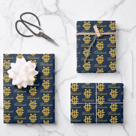 University of California, Irvine Logo Geschenkpapier Set (Vorderseite)