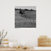 University of California, Santa Cruz, 1963 Poster (Küche)