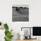 University of California, Santa Cruz, 1963 Poster (Heimbüro)