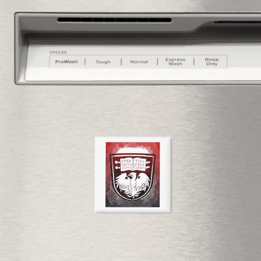 University of Chicago Siegel Magnet (In Situ (Geschirrspüler))