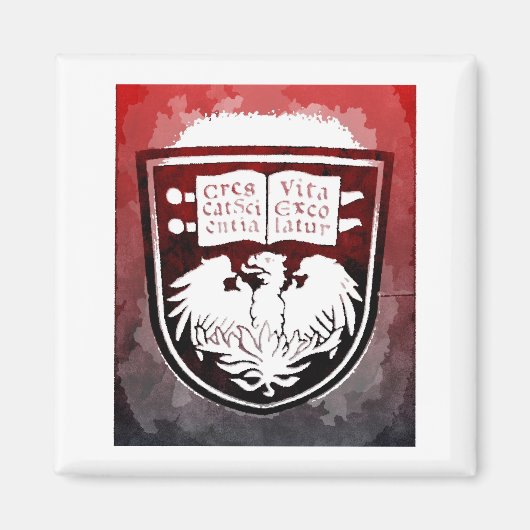 University of Chicago Siegel Magnet (Vorne)