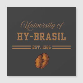 University of Hy-Brasil, Est. 1325 Magnetkarte