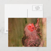 Universum Postkarte (Vorne/Hinten)