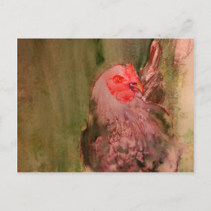 Universum Postkarte