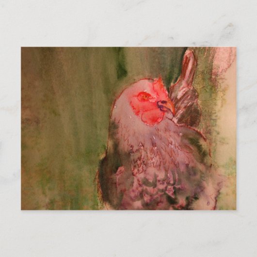 Universum Postkarte (Vorderseite)
