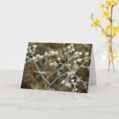 Unkraut auf Fangreise Karte (Gelbe Blume)