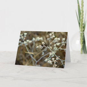 Unkraut auf Fangreise Karte