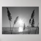 Unkraut aus Schwarz und Weiß Poster (Vorne)