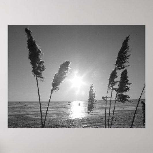 Unkraut aus Schwarz und Weiß Poster (Vorne)