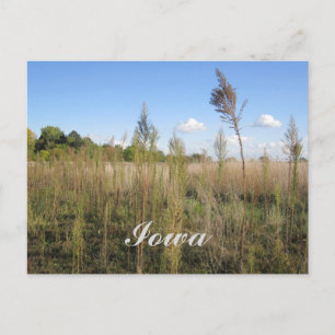 Unkraut, Bäume und Sky Iowa Postkarte