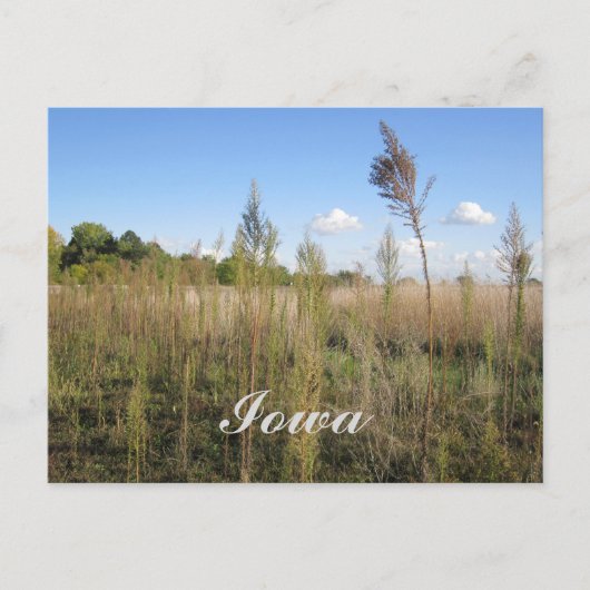 Unkraut, Bäume und Sky Iowa Postkarte (Vorderseite)