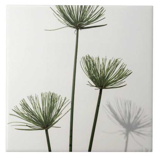 Unkraut Fliese (Vorderseite)