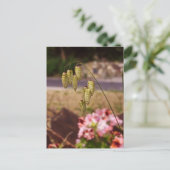 Unkraut in meinem Garten Postkarte (Stehend Vorderseite)