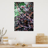 Unkraut in Rot und Grün Poster (Küche)