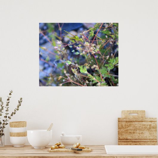 Unkraut Poster (Küche)