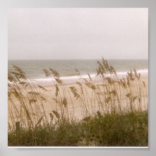 Unkraut Poster (Vorne)