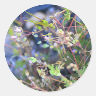 Unkraut Runder Aufkleber