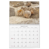Unkraut, Saatgut und Berries #1 Kalender (Mär 2027)