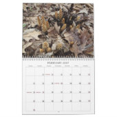 Unkraut, Saatgut und Berries #2 Kalender (Feb 2027)